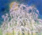 46 photo46_small.jpg